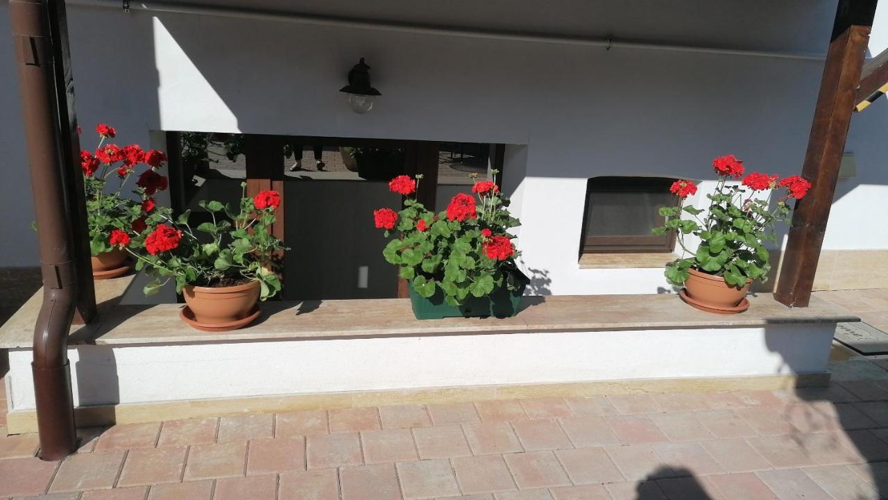 Ana Boutique 2* Alba Iulia